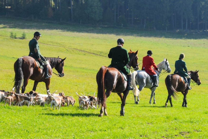 Kolano: Wyścigi konne i Bitwa pod Rąblowem
